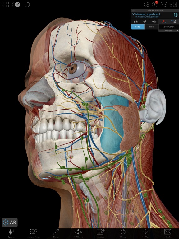 visible body human anatomy atlas